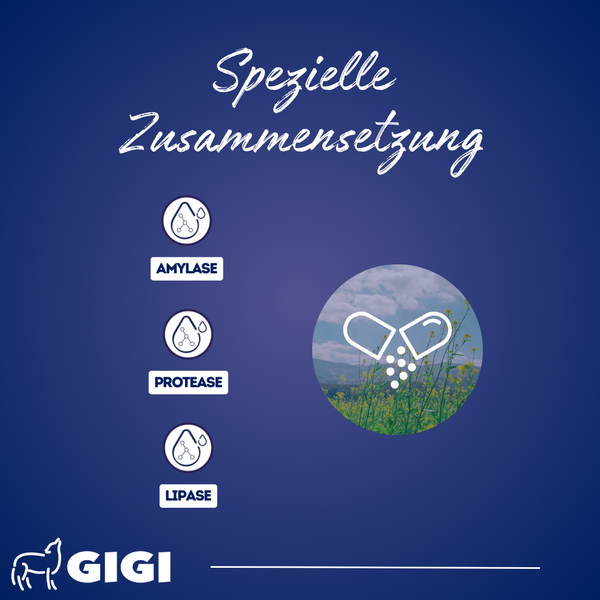 GIGI VET KREOPET Pankeas Pankreasenzyme Pankreatin Verdauungsenzyme