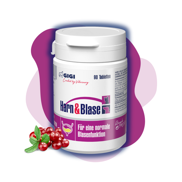 GIGI VET Harn & Blase Tab. Für Hunde und Katzen