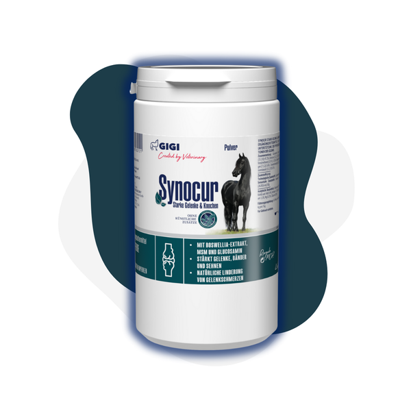 GIGI VET Synocur 1250 g Starke Gelenke & Knochen für Pferde
