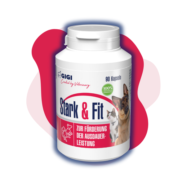 GIGI VET Stark & Fit Für Hunde und Katzen