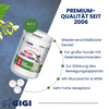 GIGI VET Große Hunde Gelenke & Knochen Für mehr Beweglichkeit & Vitalität