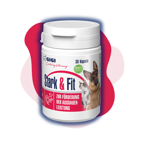 GIGI VET Stark & Fit Für Hunde und Katzen