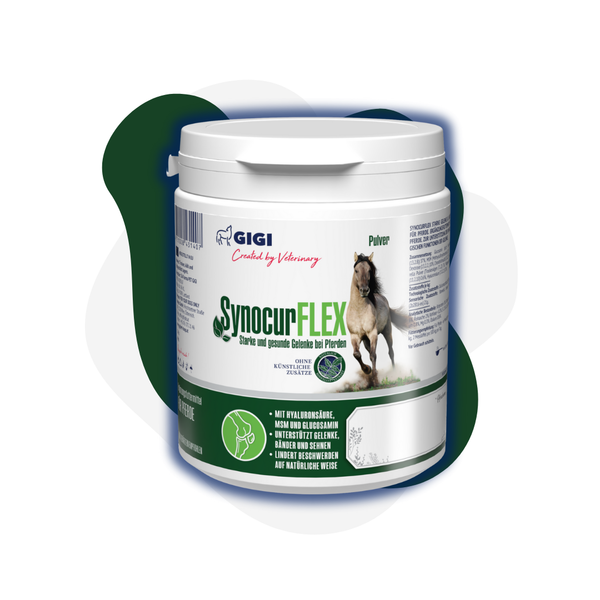 GIGI VET SynocurFLEX Starke Gelenke & Knochen für Pferde