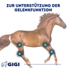 GIGI VET Synocur 1250 g Starke Gelenke & Knochen für Pferde Für gesunde Gelenke & starke Knochen