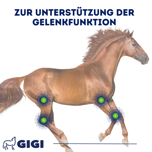 GIGI VET Synocur 1250 g Starke Gelenke & Knochen für Pferde Für gesunde Gelenke & starke Knochen