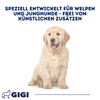 GIGI VET Welpen Wachstum & Entwicklung