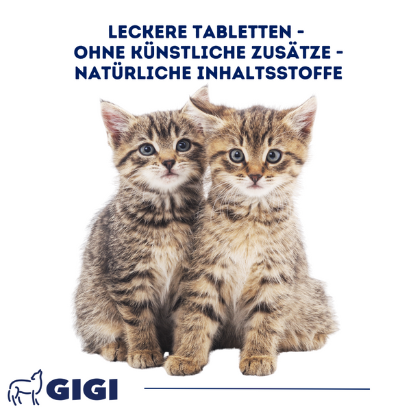 GIGI VET Katzenwelpen Wachstum & Entwicklung Mit Kalzium & Vitamin D3 Ohne künstliche Zusätze