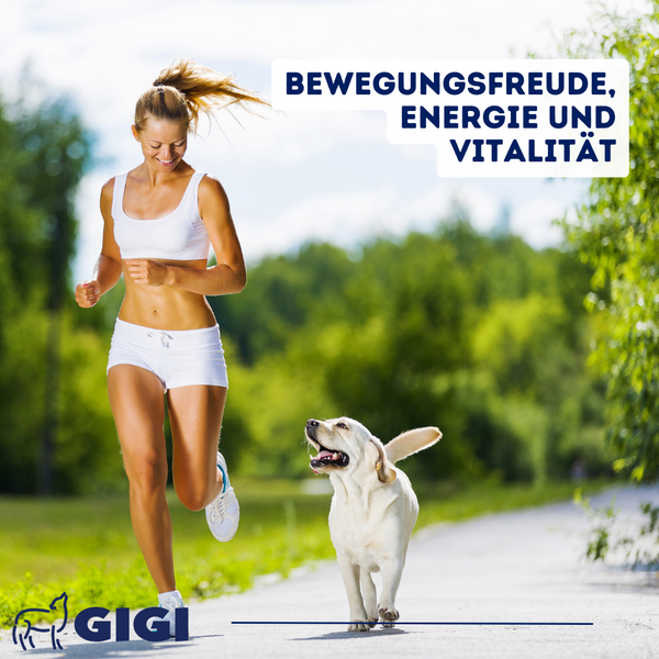 GIGI VET Große Hunde Gelenke & Knochen