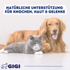 GIGI VET Calci-Cod-Omega Für Hunde und Katzen Mit Omega-3 2-in-1 Formel zur Unterstützung von Haut, Fell und Knochen