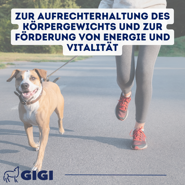 GIGI VET Stark & Fit Für Hunde und Katzen Aktiviert den Fettstoffwechsel & Ideal bei Gewichtsreduktion