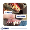 GIGI VET DENTAL CARE Gegen Zahnbelag Zahnstein & Mundgeruch