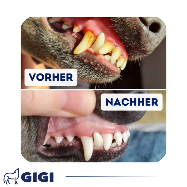 GIGI VET DENTAL CARE Gegen Zahnbelag Zahnstein & Mundgeruch