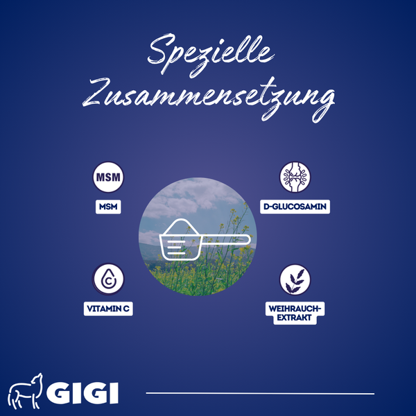 GIGI VET Synocur 1250 g Starke Gelenke & Knochen für Pferde Für gesunde Gelenke & starke Knochen