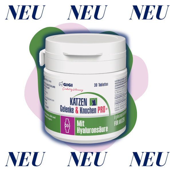 GIGI VET Katzen Gelenke & Knochen PRO+