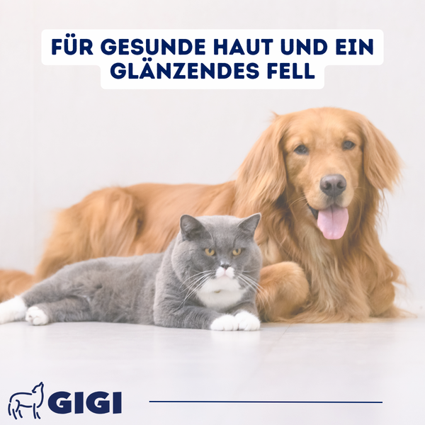 GIGI VET Haut & Fell Für Hunde und Katzen Anti-Juckreiz & glänzendes Fell
