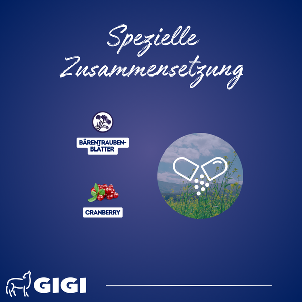 GIGI VET Harn & Blase Kaps. Für Hunde und Katzen Bei Blasenschwäche oder Inkontinenz