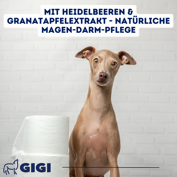 GIGI VET Magen & Darm Komfort Für große Hunde mit empfindlichem Verdauungssystem