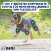 GIGI VET Aktive Hunde Gelenke & Knochen Mit Kollagen und Hyaluronsäure Für starke Gelenke