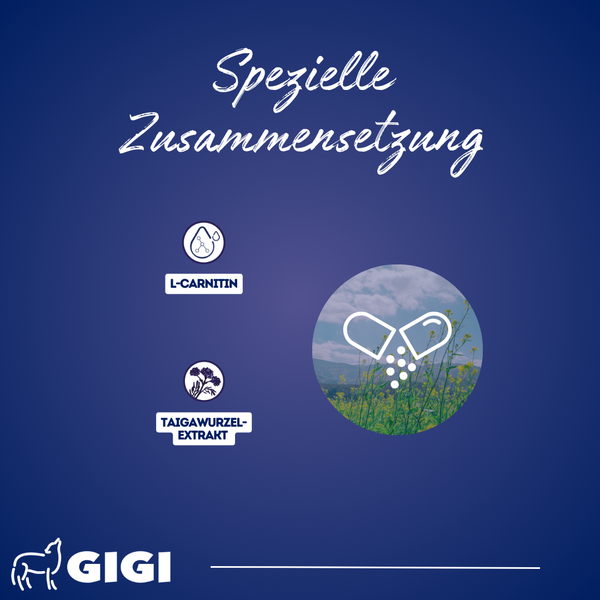 GIGI VET Stark & Fit Für Hunde und Katzen Aktiviert den Fettstoffwechsel & Ideal bei Gewichtsreduktion