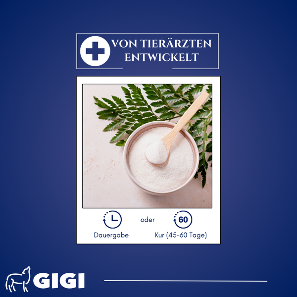 GIGI VET Synocur 1250 g Starke Gelenke & Knochen für Pferde Für gesunde Gelenke & starke Knochen