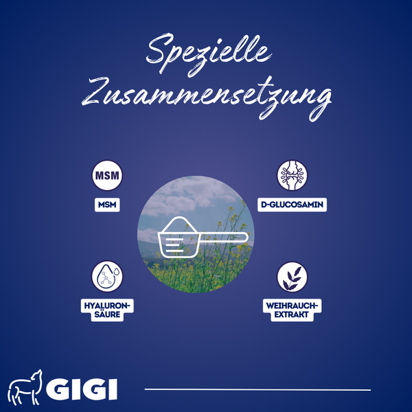 GIGI VET SynocurFLEX Starke Gelenke & Knochen für Pferde Mit Hyaluronsäure Lindert Arthrose & stärkt Mobilität