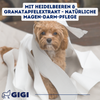 GIGI VET Magen & Darm Komfort Für Katzen und kleine Hunde Hilft effektiv bei Futterunverträglichkeiten