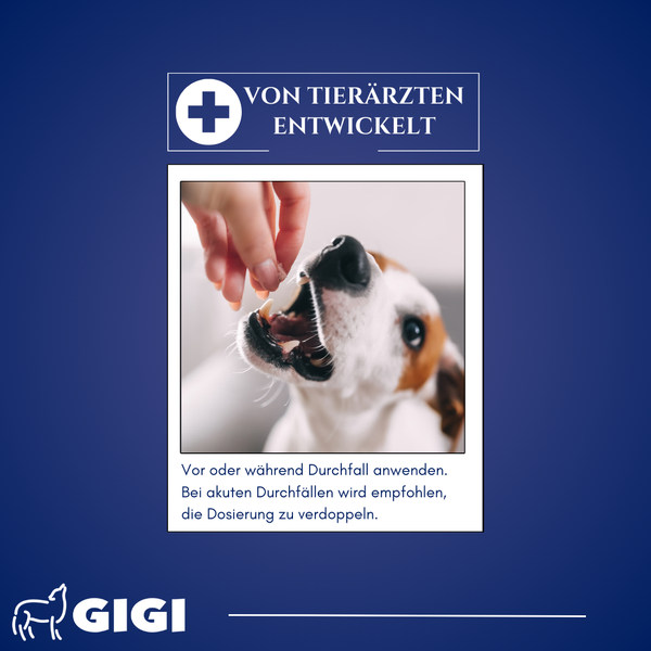 GIGI VET Magen & Darm Komfort Für große Hunde mit empfindlichem Verdauungssystem