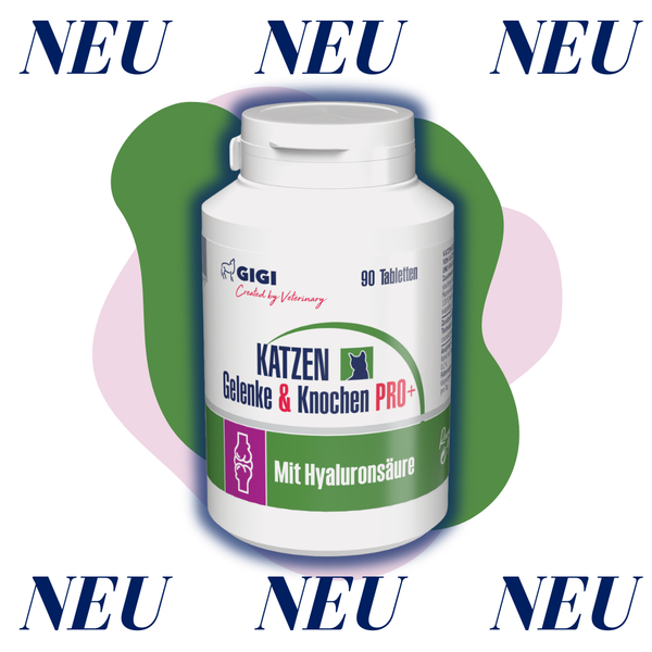 GIGI VET Katzen Gelenke & Knochen PRO+