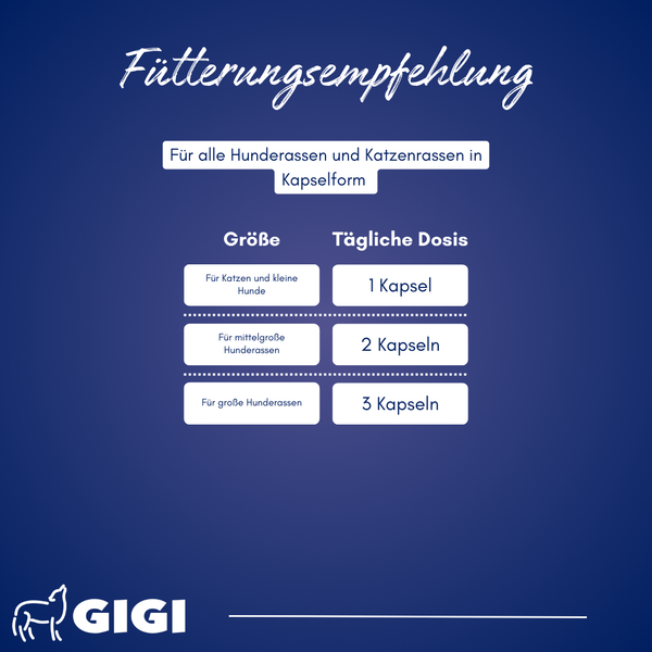 GIGI VET Stark & Fit Für Hunde und Katzen Aktiviert den Fettstoffwechsel & Ideal bei Gewichtsreduktion