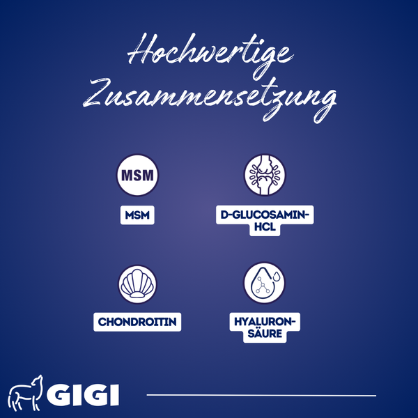 GIGI VET Katzen Gelenke & Knochen PRO+ Mit Hyaluronsäure für mehr Mobilität