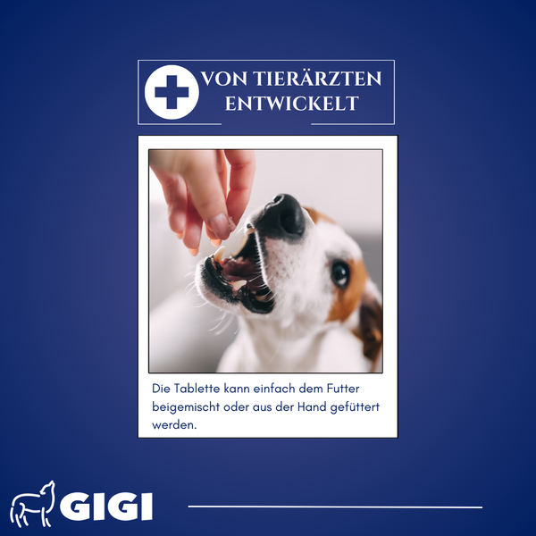 GIGI VET DA BA RELAX PLUS Tierarzt