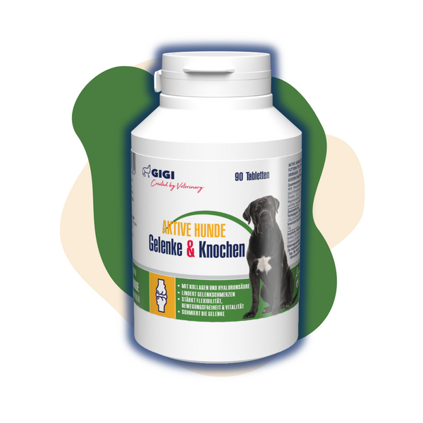 GIGI VET Gelenke Knochen Aktive Hunde Produktbild klein