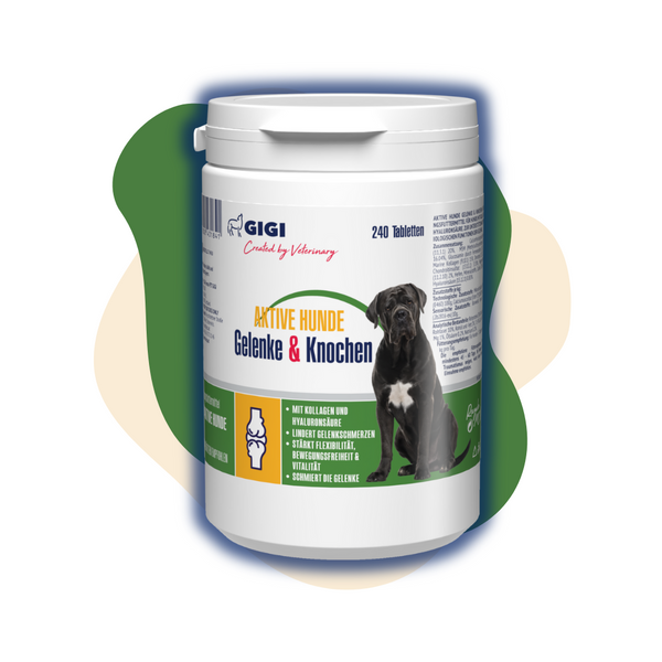 GIGI VET Gelenke Knochen Aktive Hunde Produktbild