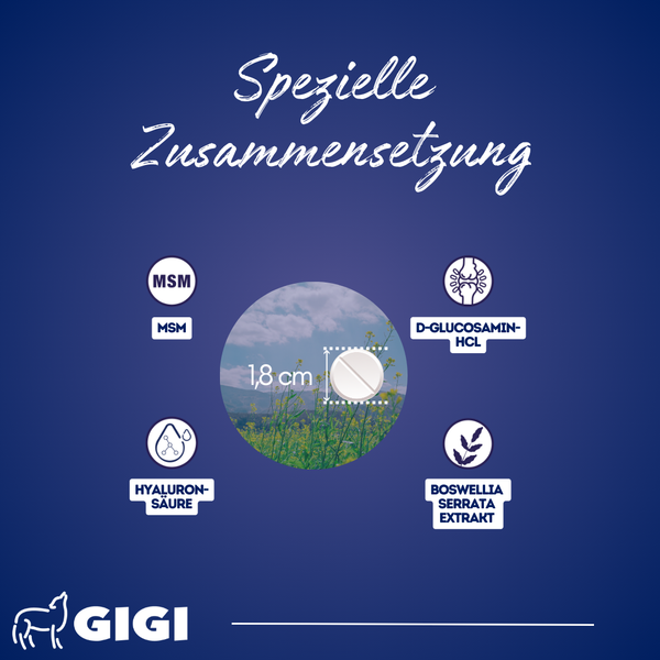 GIGI VET Gelenke Knochen Aktive Hunde Spezielle Zusammensetzung