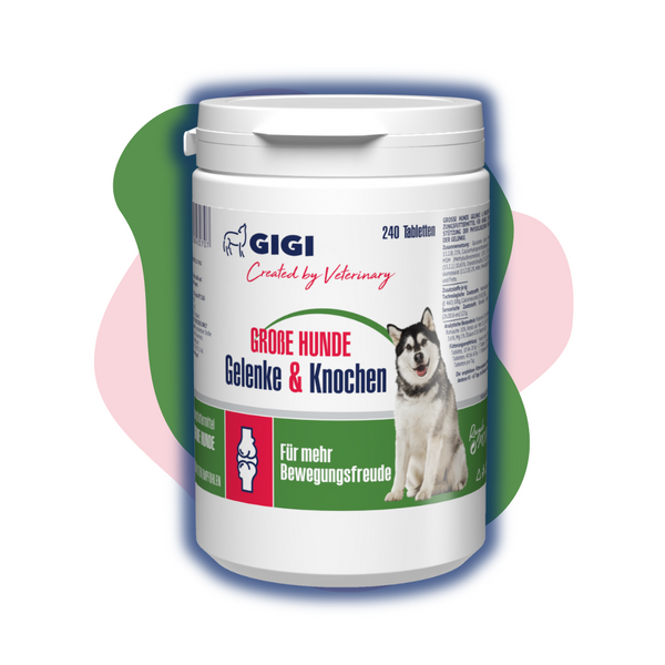 GIGI VET Gelenke Knochen Grosse Hunde Titelbild-1