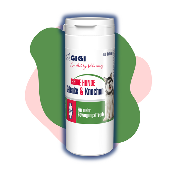GIGI VET Gelenke Knochen Grosse Hunde Titelbild-2