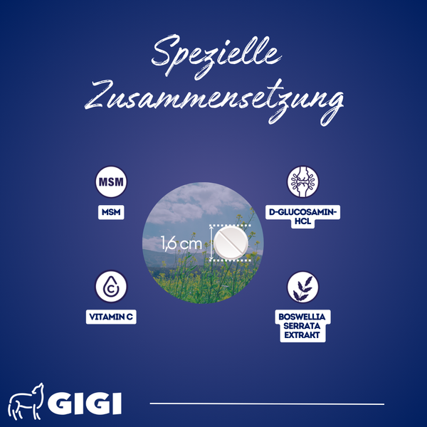 GIGI VET Gelenke Knochen Hunde Gegen Schmerzen Zusammensetzung