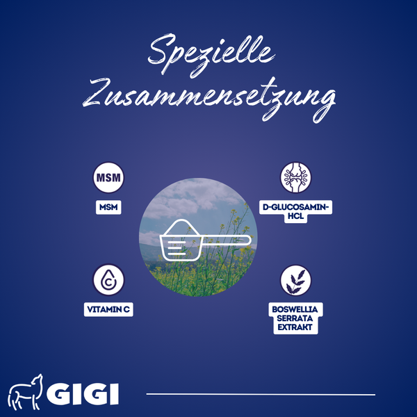 GIGI VET Gelenke Knochen Hunde Pulver Gegen Schmerzen Zusammensetzung