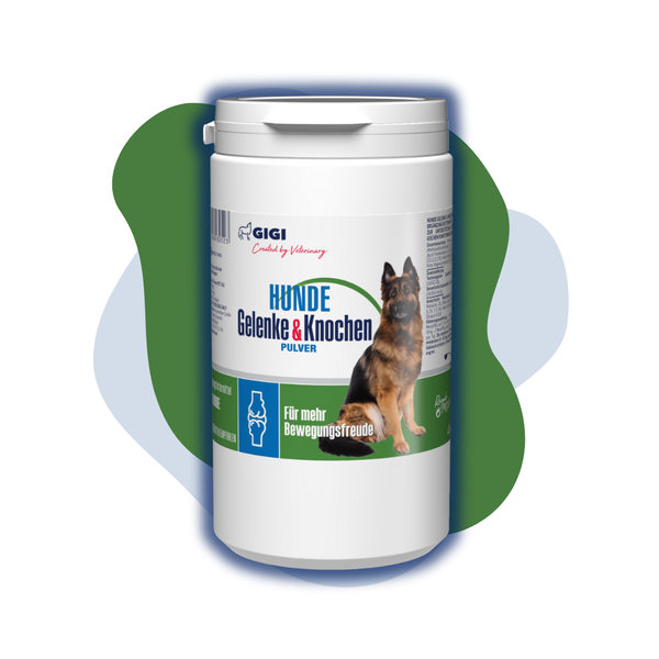 GIGI VET Gelenke Knochen Hunde Pulver Titelbild-1