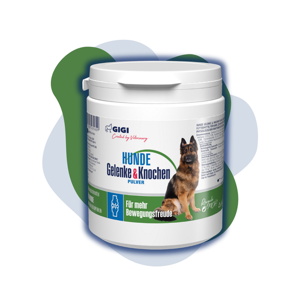 GIGI VET Gelenke Knochen Hunde Pulver Titelbild-2