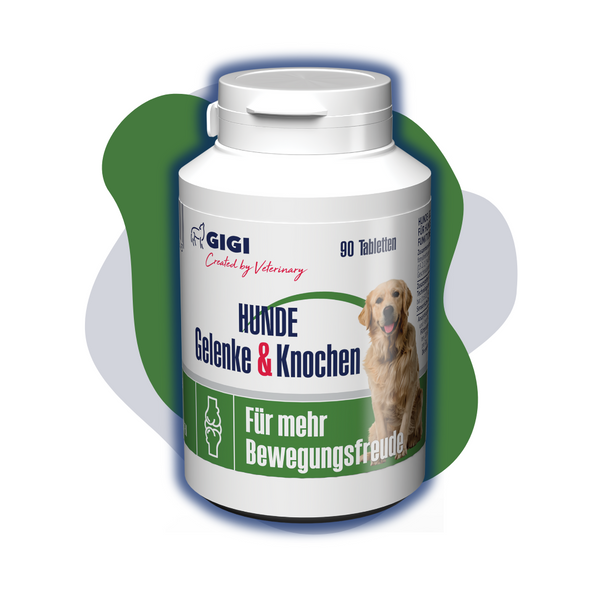 GIGI VET Gelenke Knochen Hunde Titelbild-1