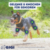 GIGI VET Gelenke Knochen Senioren lecker gesund
