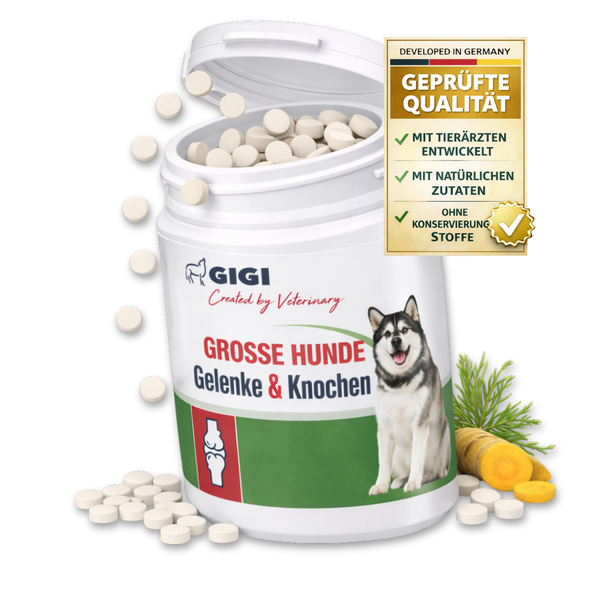 GIGI VET Große Hunde Gelenke & Knochen Für mehr Beweglichkeit & Vitalität