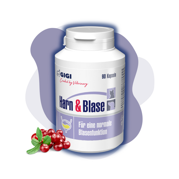 GIGI VET Harn & Blase Kaps. Für Hunde und Katzen