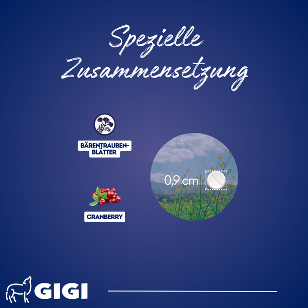 GIGI VET Harn & Blase Tab. Für Hunde und Katzen