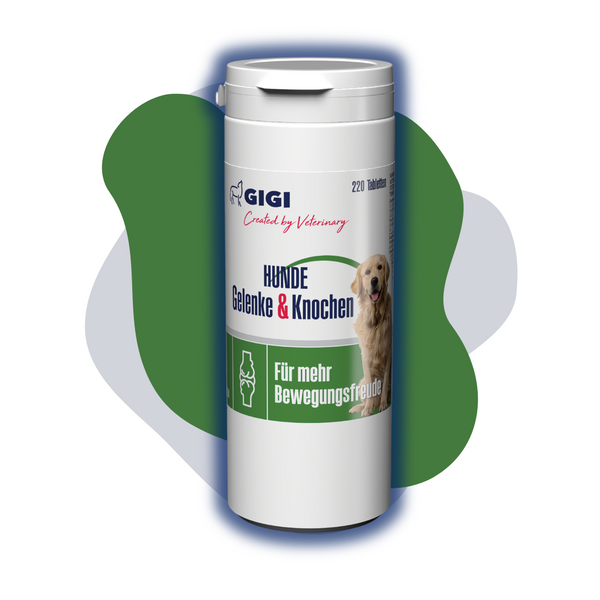 GIGI VET Hunde Gelenke & Knochen