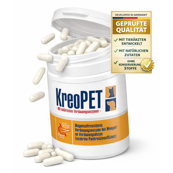 GIGI VET KREOPET Pankeas Pankreasenzyme Pankreatin Verdauungsenzyme
