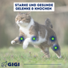 GIGI VET Katzen Gelenke & Knochen