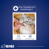 GIGI VET Katzenwelpen Wachstum & Entwicklung