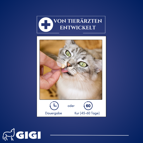 GIGI VET Katzenwelpen Wachstum & Entwicklung Mit Kalzium & Vitamin D3 Ohne künstliche Zusätze